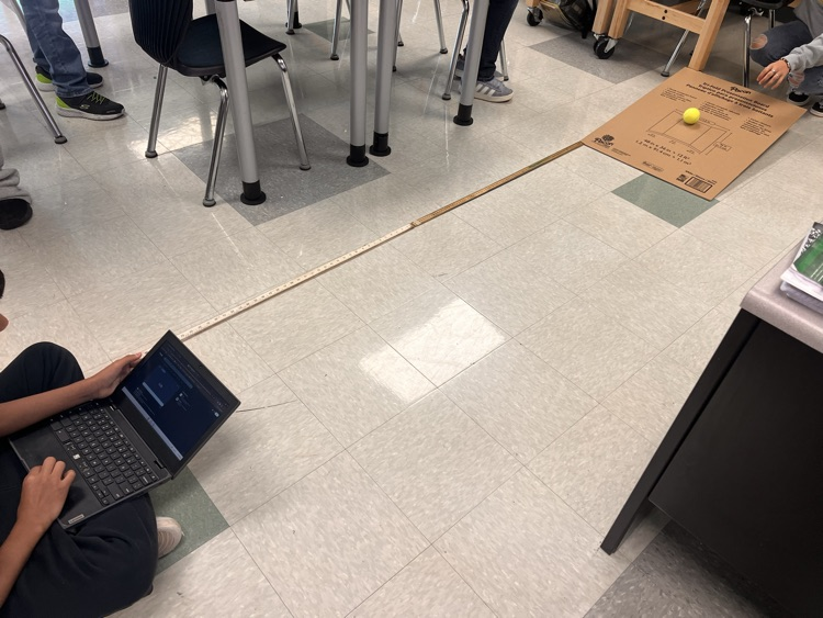 lab