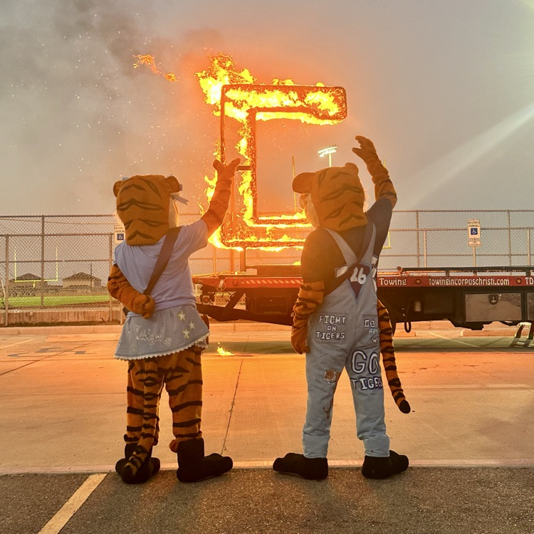 picture of burning of the C