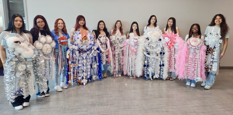 image of mums