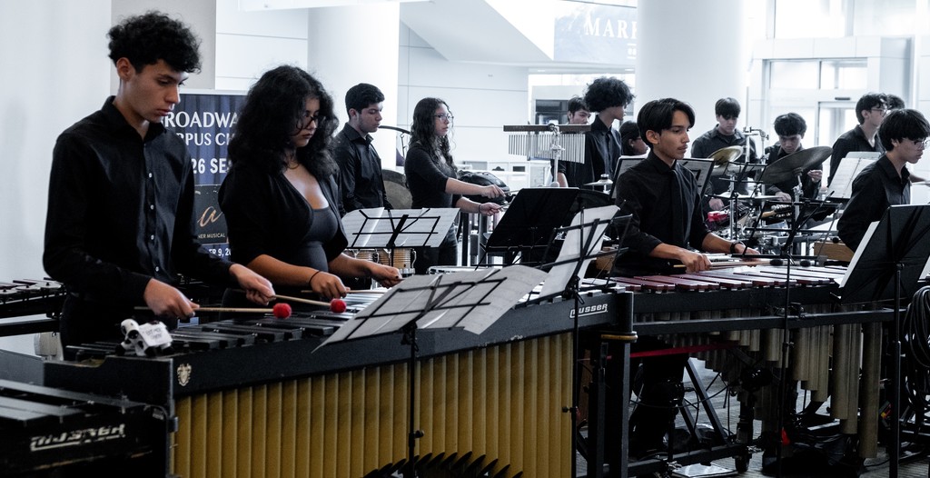 Orchestra playing at state of the district