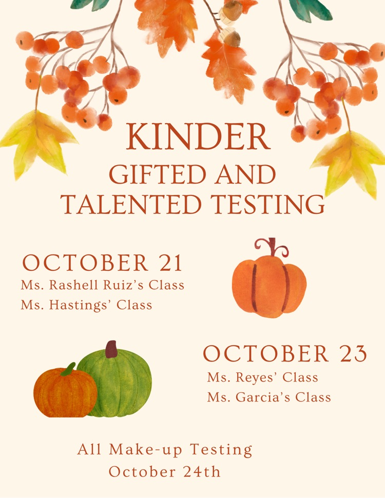 kinder gt testing