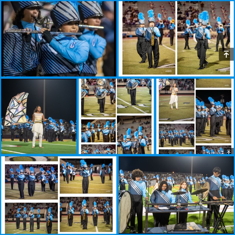 Collage of Carroll Tiger Band performing under stadium lights. Band members in blue and black uniforms play instruments, march in formation, and perform with flags and percussion equipment on the field.