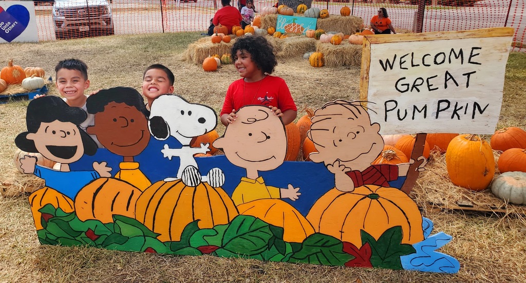 Pumpkin patch