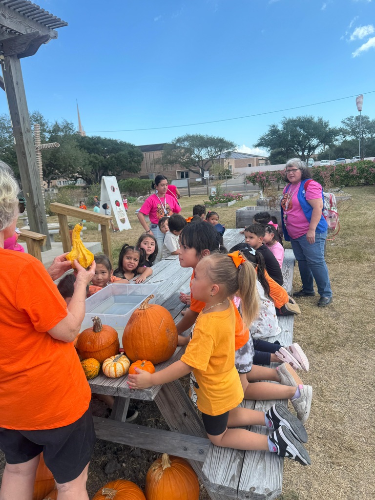 Pumpkin patch