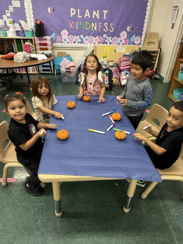 We decorated pumpkins! Thanks to the Prek staff every kid in Prek and ECSE will go home with a mini pumpkin!