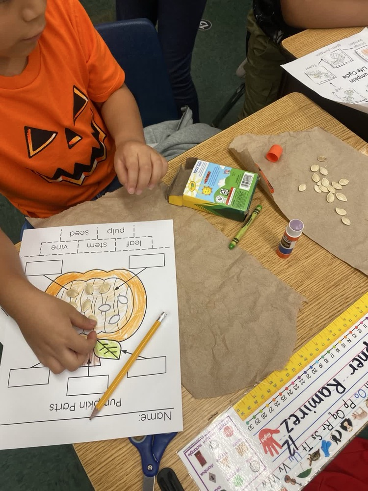 Let’s carve pumpkins!🎃