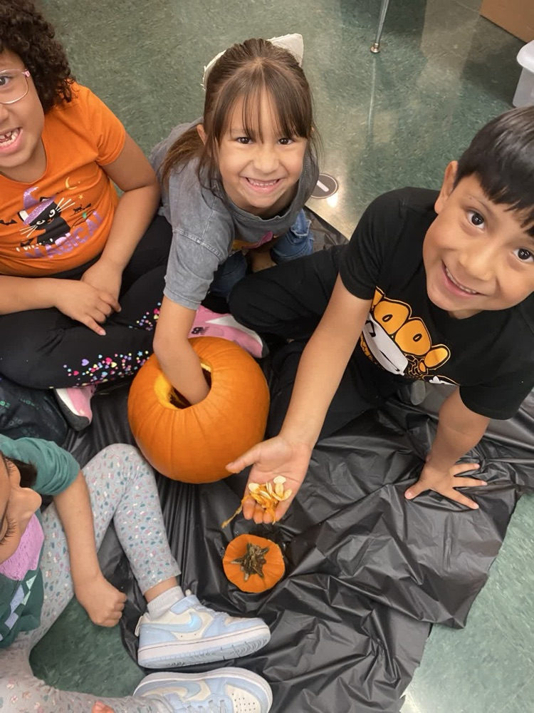 Let’s carve pumpkins!🎃