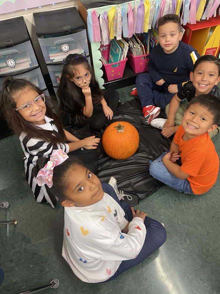 Let’s carve pumpkins!🎃