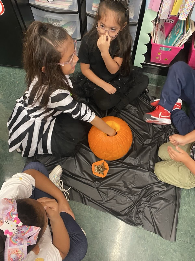 Let’s carve pumpkins!🎃