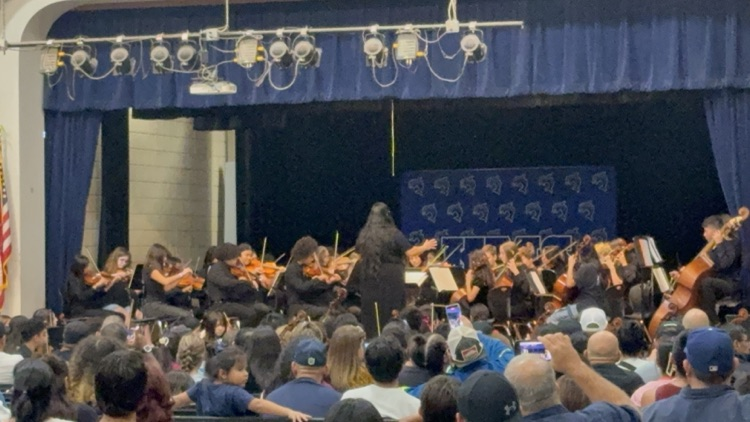 Orchestra