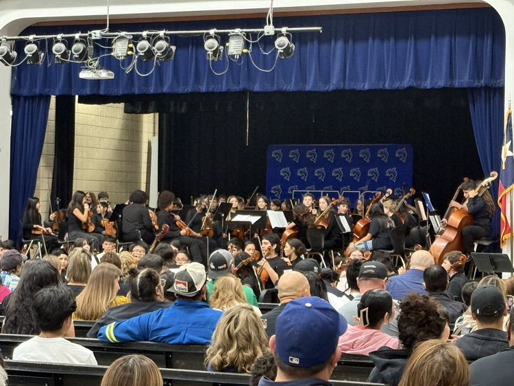 Orchestra