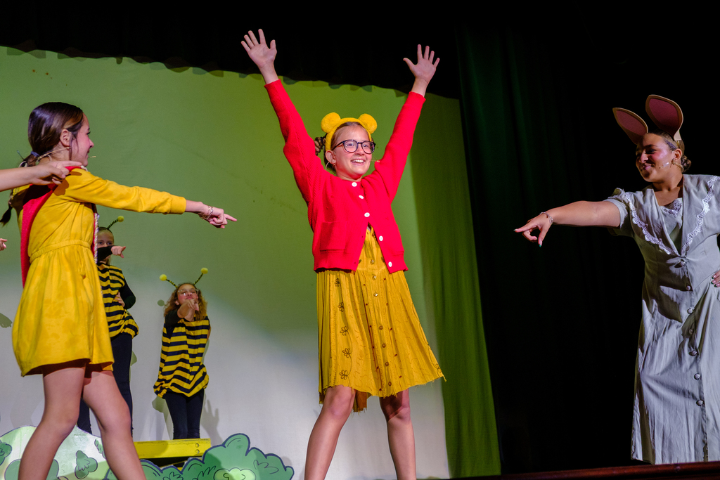 25-26 WINNIE THE POOH - METRO E-12