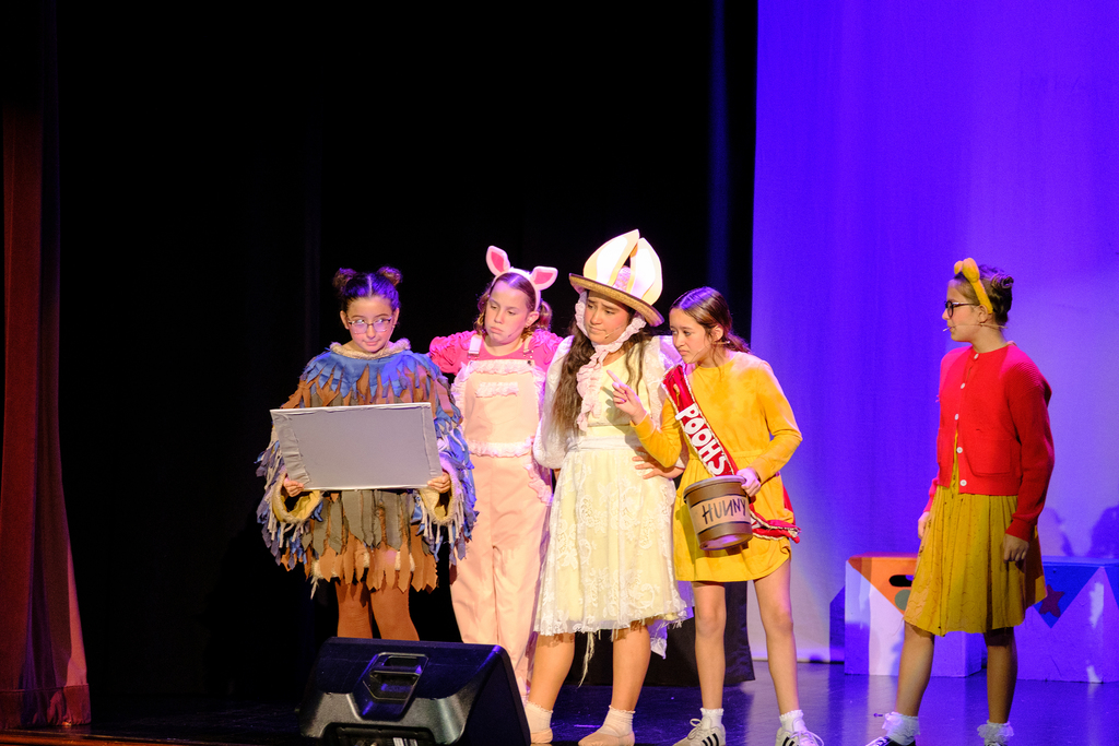 25-26 WINNIE THE POOH - METRO E-24