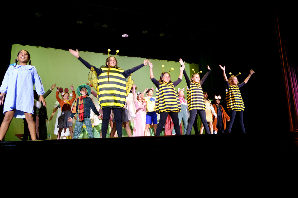 25-26 WINNIE THE POOH - METRO E-9