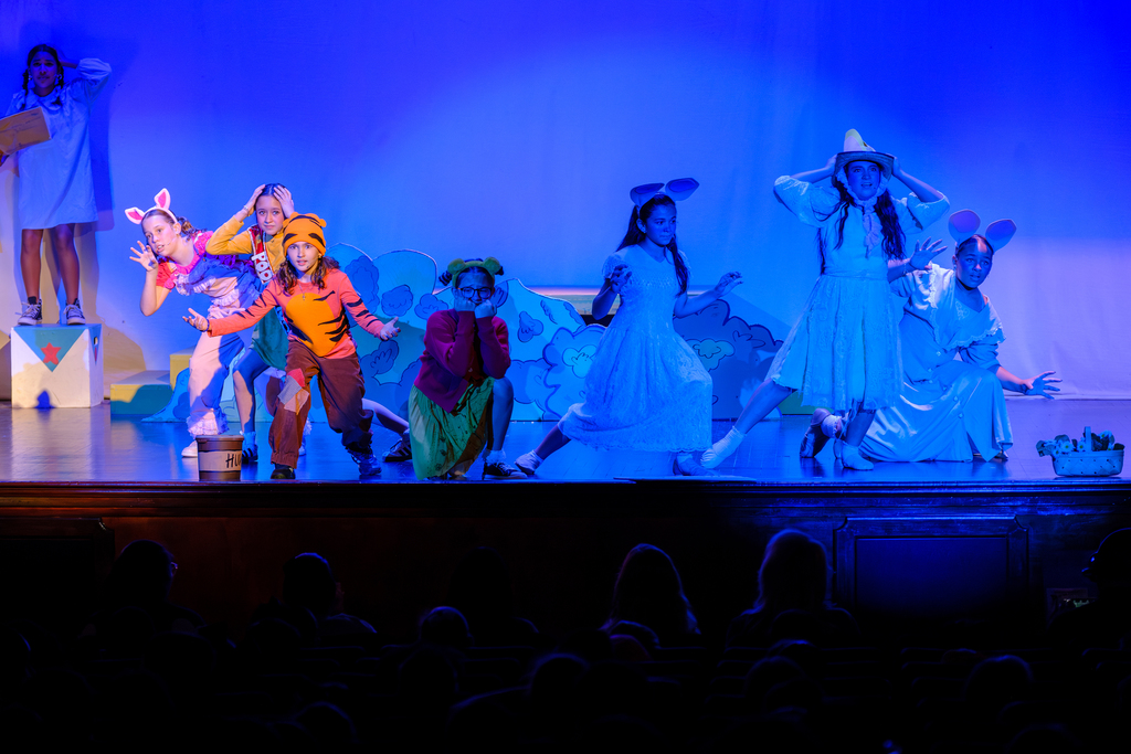 25-26 WINNIE THE POOH - METRO E-31