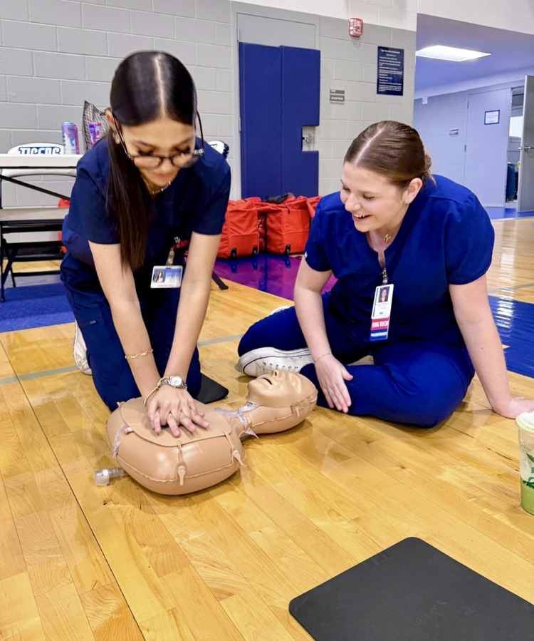 Alt text: Students practicing CPR on mannequins in the gym with Health Science helpers.