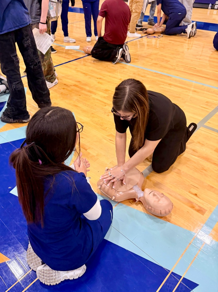 Alt text: Students practicing CPR on mannequins in the gym with Health Science helpers.