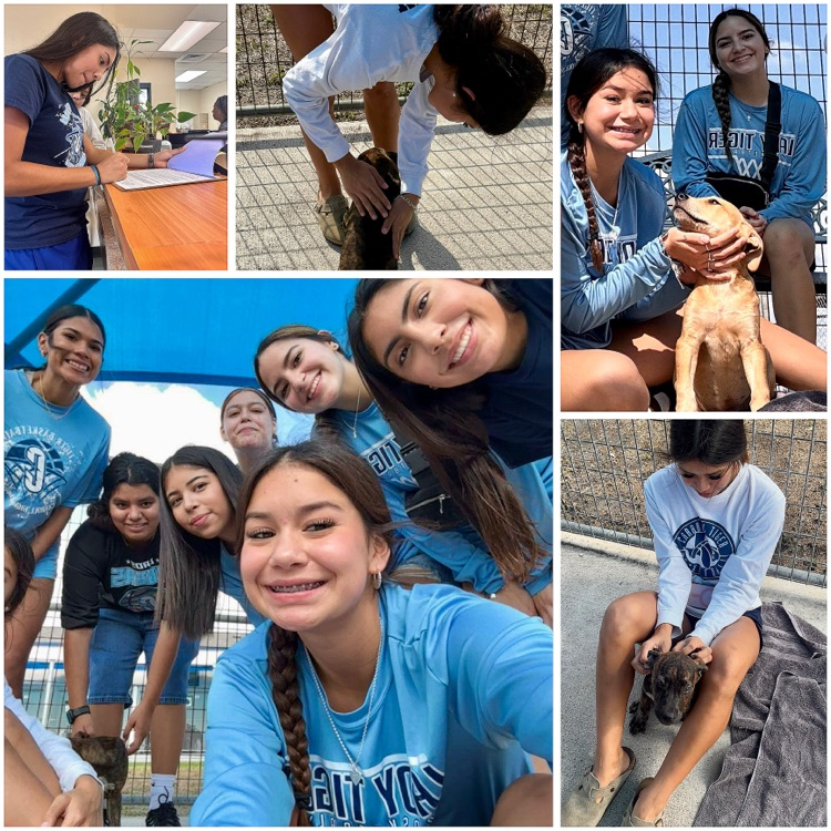 Girls basketball players visiting an animal shelter, petting puppies and smiling together.