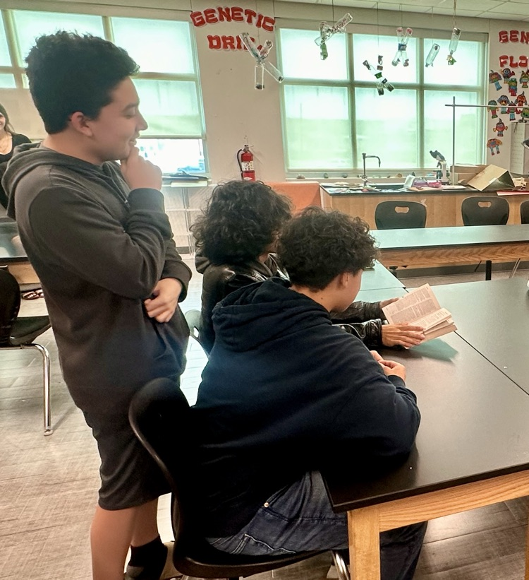 Students working together in small groups during Tiger Time in classrooms.