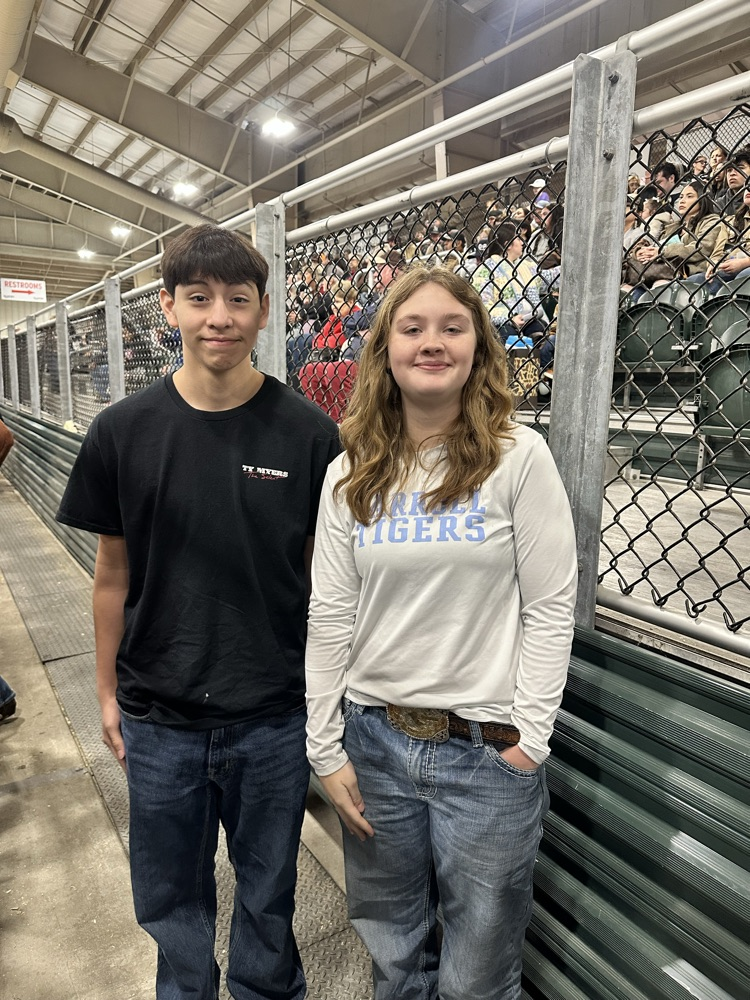 Student leading a steer in the show ring.