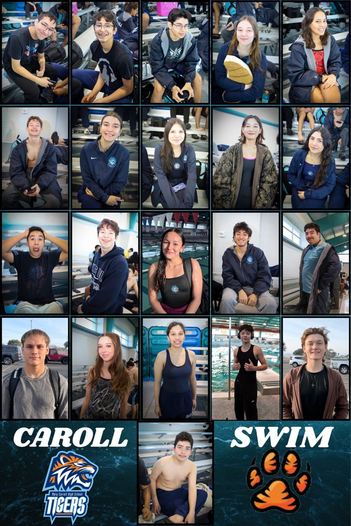 Collage of Carroll High School swim and dive athletes seated on pool bleachers and around the natatorium, featuring individual portraits of team members with Carroll Tigers and Swim graphics at the bottom.