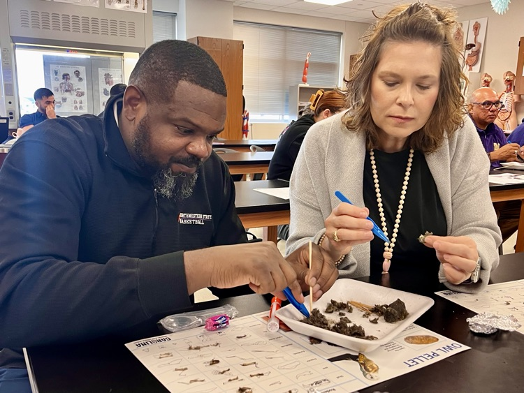 Alt Text: Carroll High School science teachers working together in a lab classroom dissecting owl pellets and identifying bones during Professional Development Day.