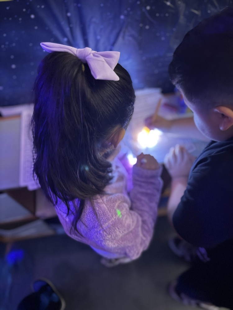 module review in first grade 