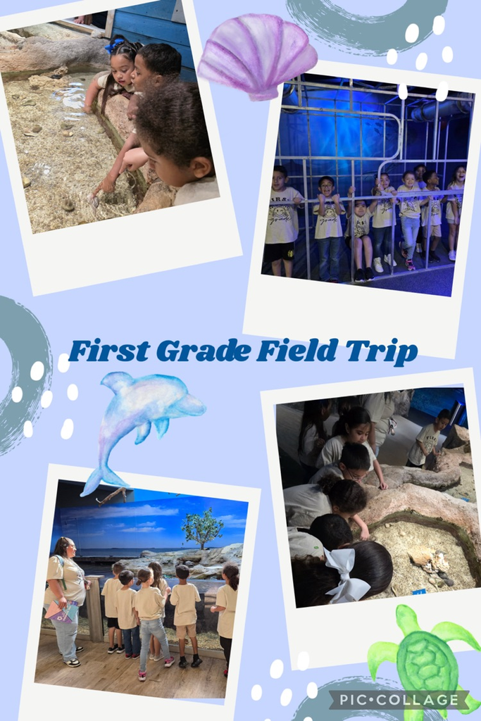 First Grade Field Trip