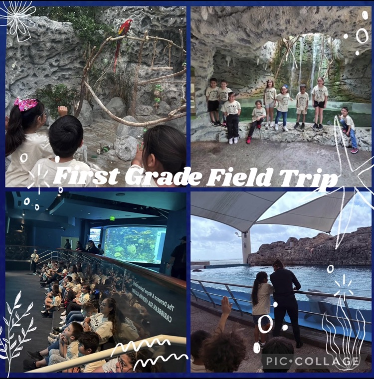 First Grade Field Trip