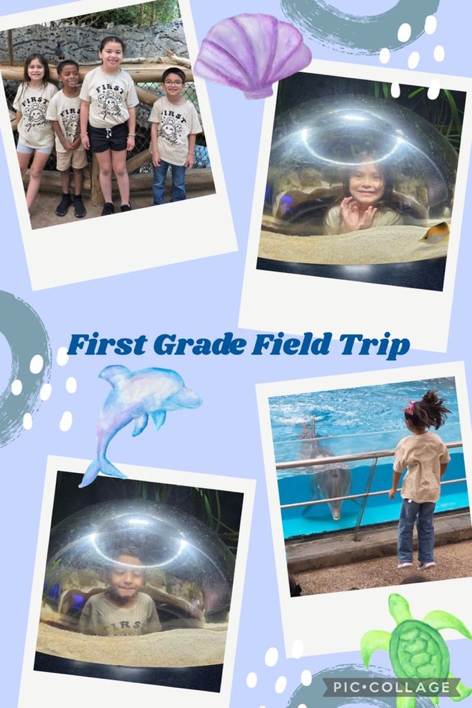 First Grade Field Trip