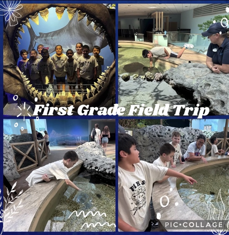 First Grade Field Trip