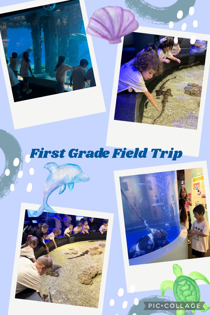 First Grade Field Trip