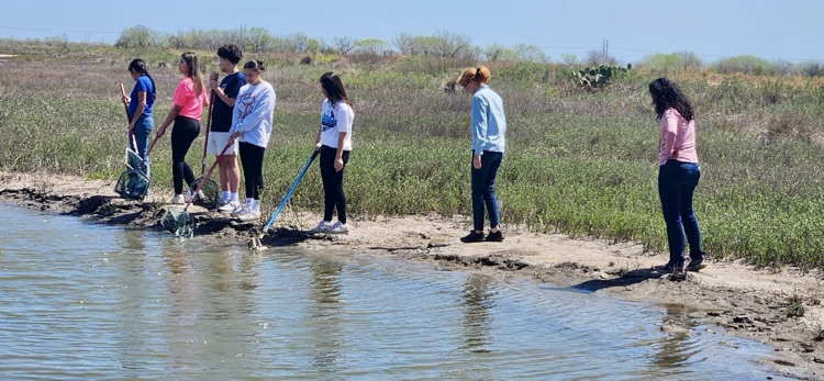 	Students working together on biology activities 