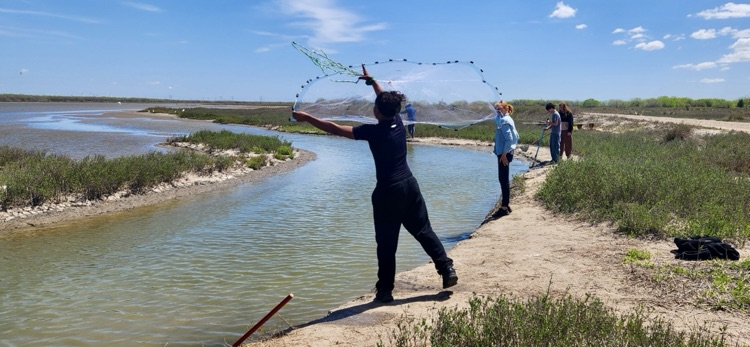 	Students working together on biology activities 