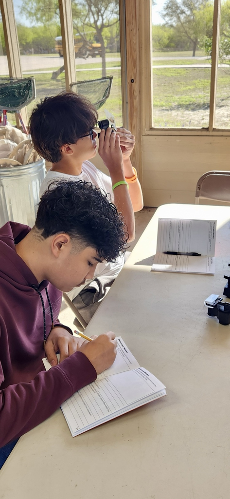 	Students working together on biology activities 