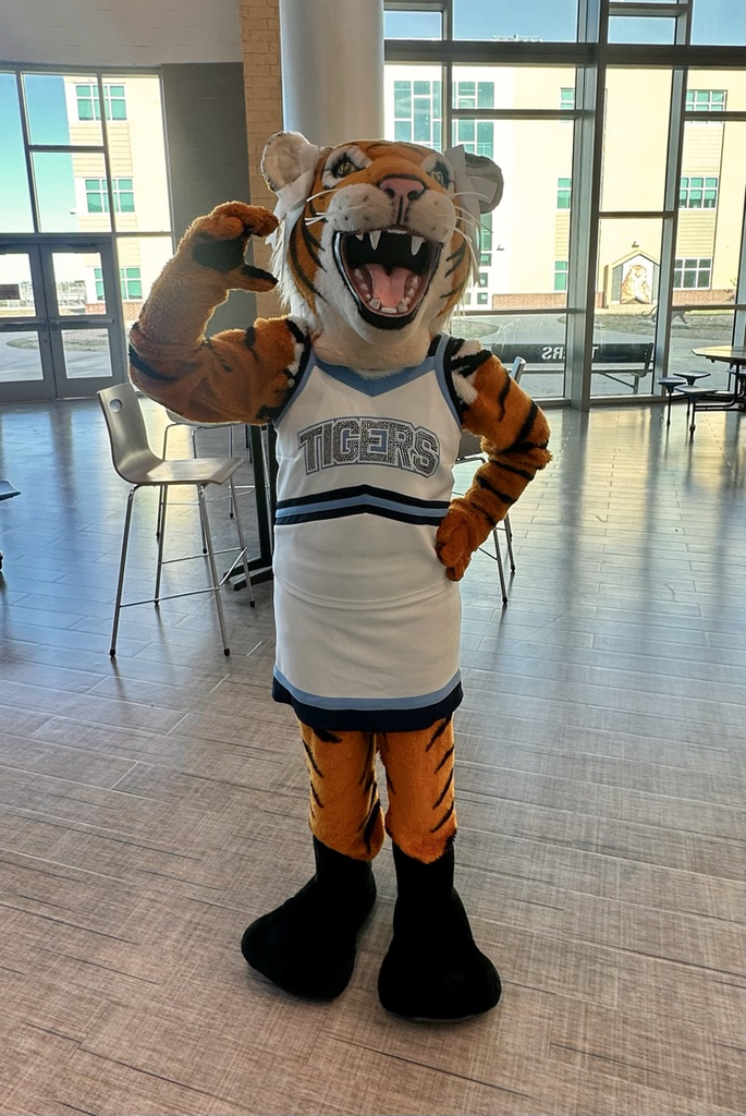 Photos from Tiger Cub Camp showing incoming freshmen exploring campus, meeting student groups, participating in activities, and experiencing a welcoming, high-energy environment at Carroll High School 