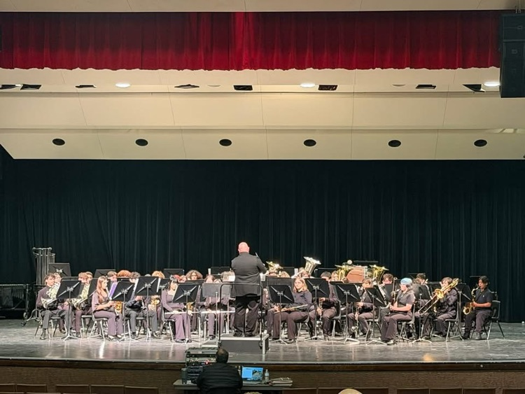 image of Carroll tiger band 