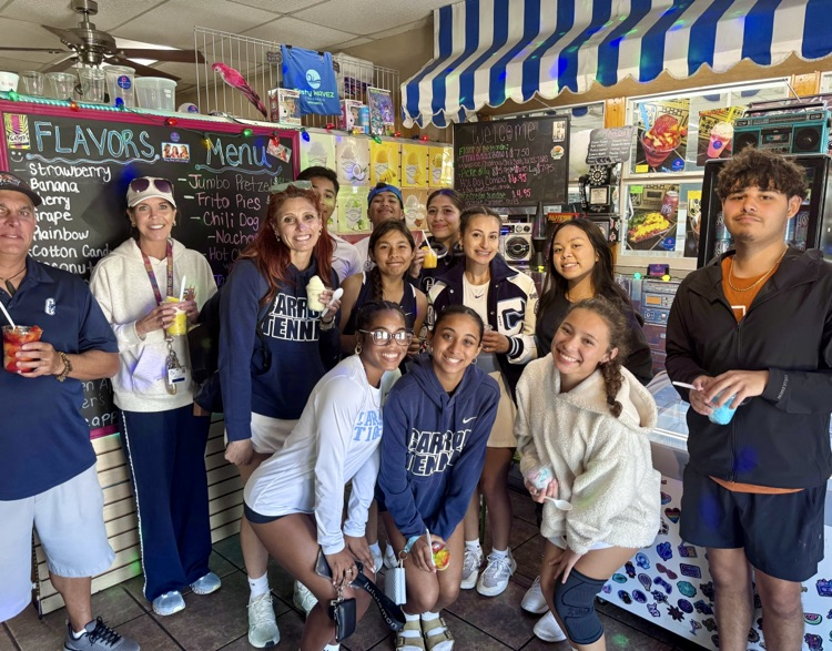 Alt text: Carroll tennis players in action during a district match 