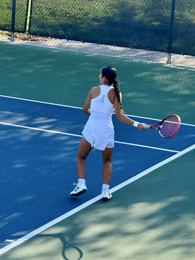 Alt text: Carroll tennis players in action during a district match 