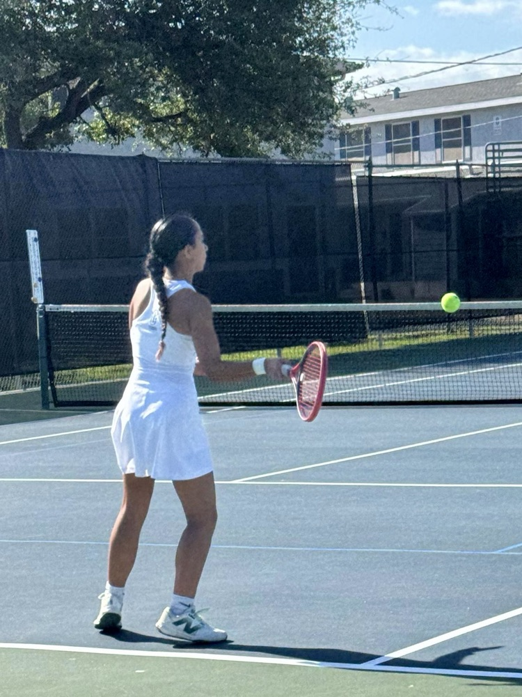 Alt text: Carroll tennis players in action during a district match 
