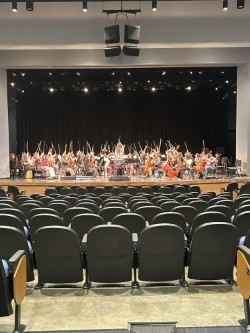 Orchestra Picture