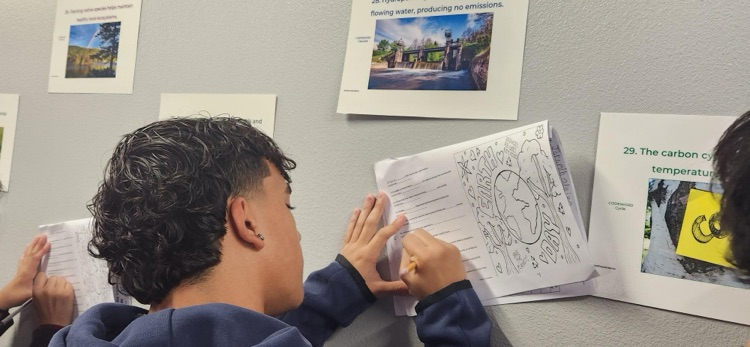 🌎🐅 Earth Day in Action 🐅🌎  Shoutout to Ms. Markert’s Honors Biology class for leading the way on Earth Day! 💚🌱  The future is looking greener already 👏  #CarrollPride #TPND #EarthDay #FutureLeaders