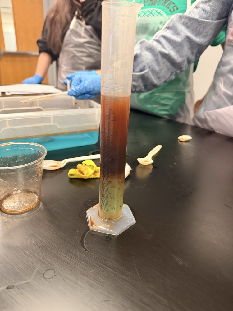 🧪 