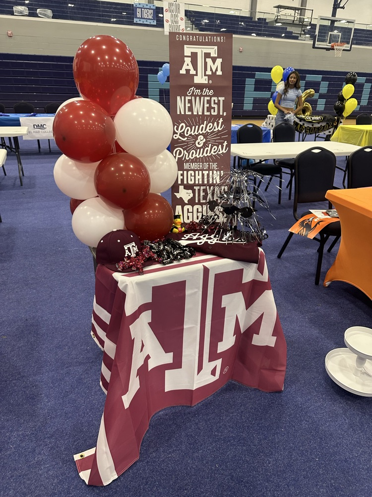 🎓 DECISION DAY is happening TODAY in the Arena!
