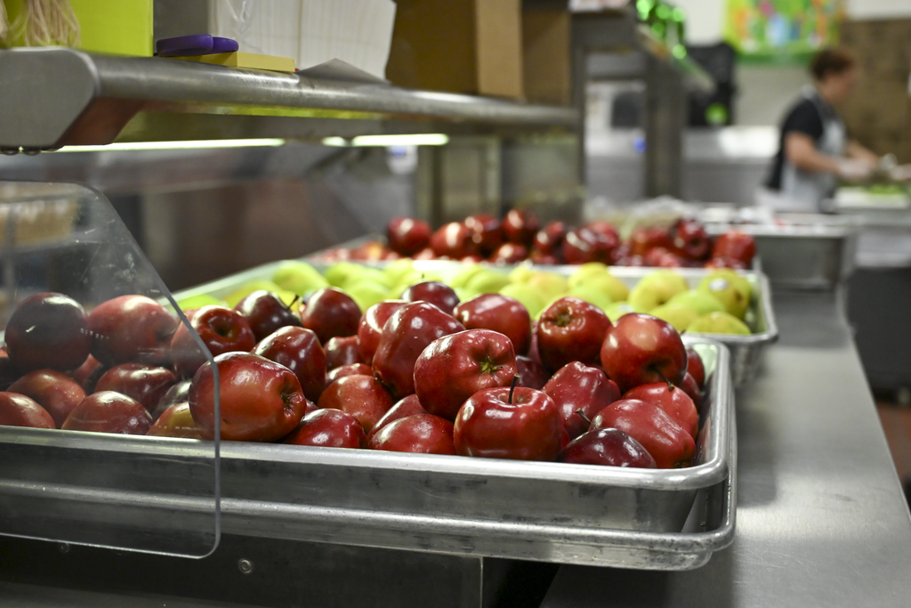 Trays of red apples and yellow apples are arranged on a counter in a kitchen. 