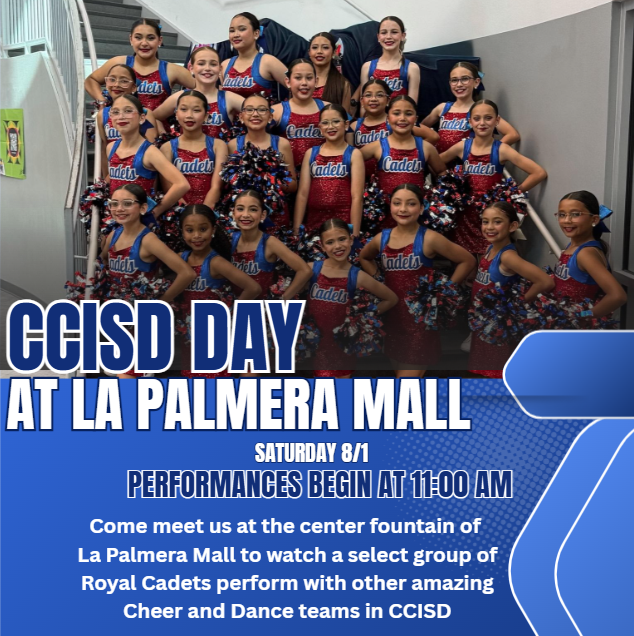 CCISD Day