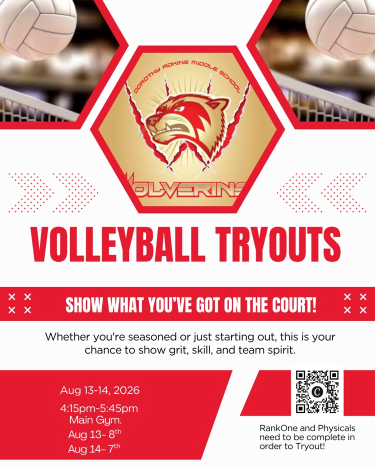 Vb tryouts