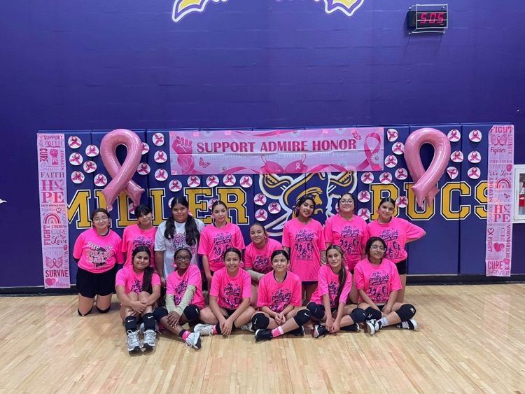 volleyball team at their pink out game