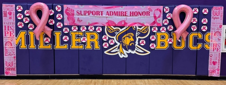 volleyball banner at the pink out game supporting breast cancer awareness month
