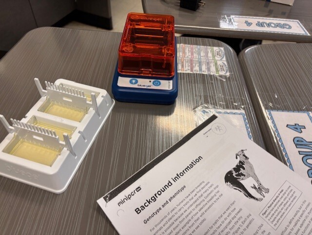 Electrophoresis machine is set and ready to use.